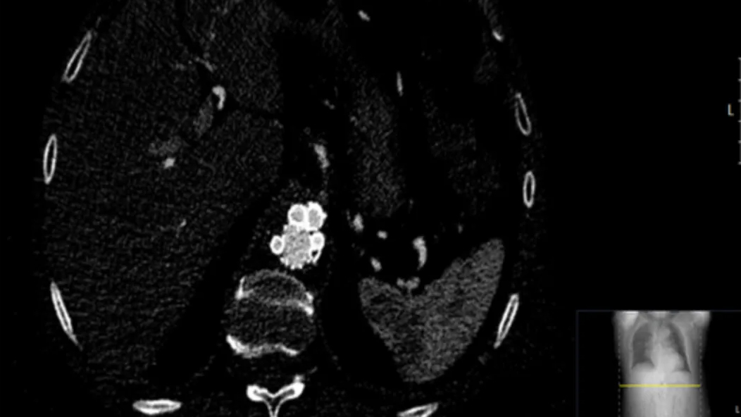 Z6尊龙·凯时(官网)人生就是博!