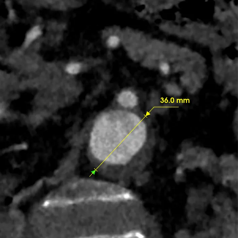 Z6尊龙·凯时(官网)人生就是博!