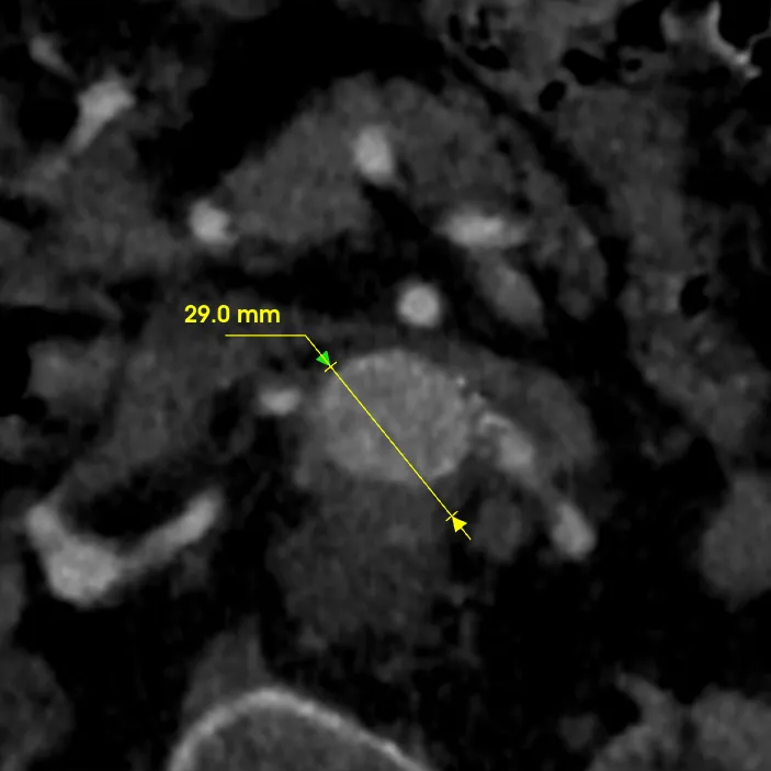 Z6尊龙·凯时(官网)人生就是博!